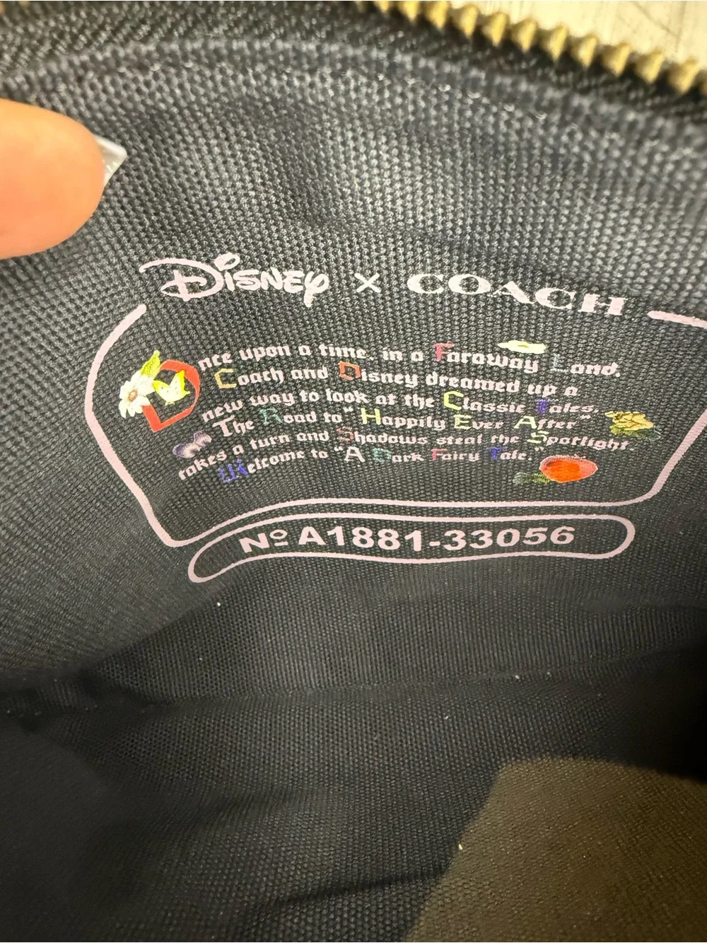 Coach disney dark